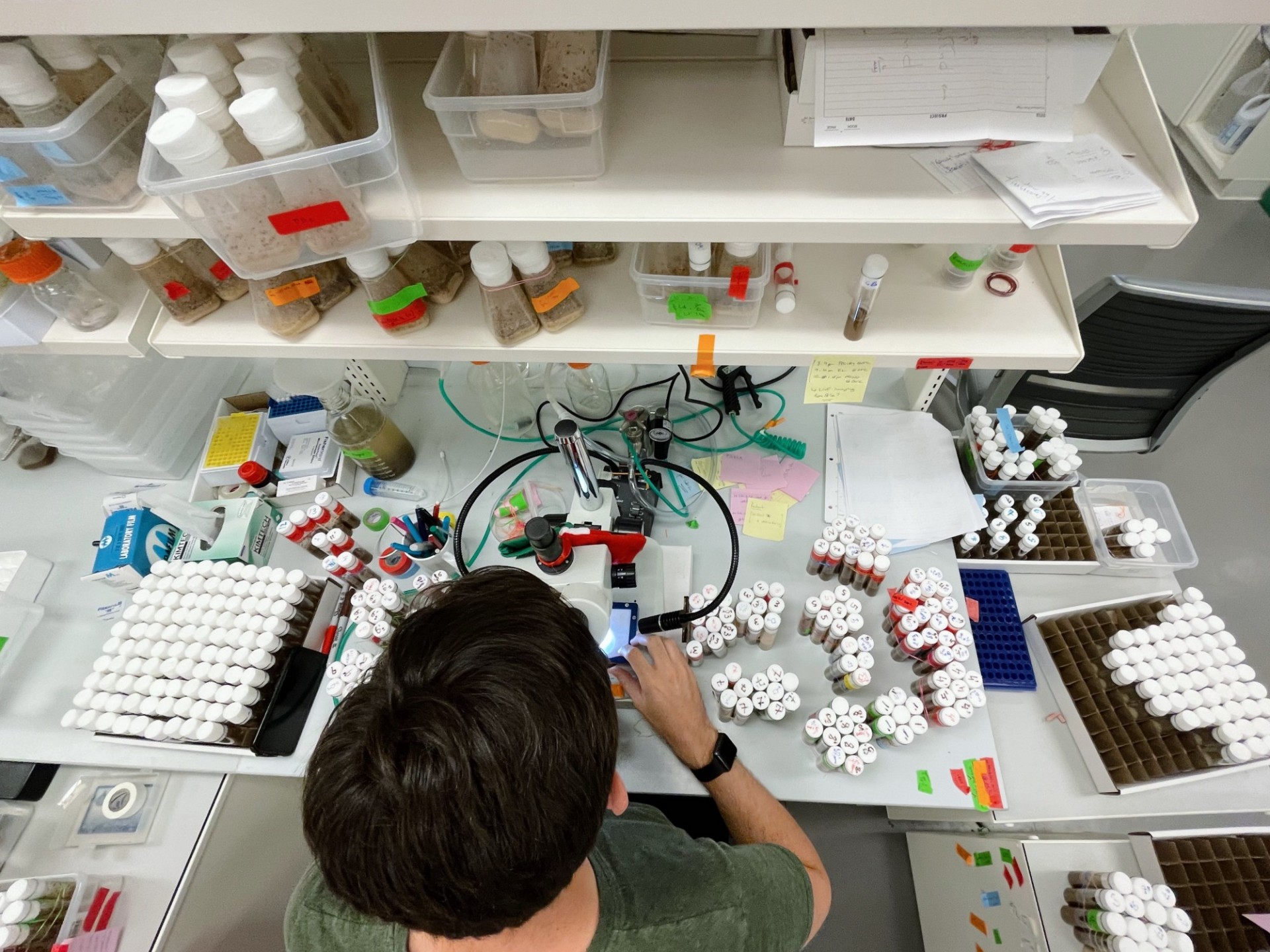 Tanguy with fly vials on the microscope