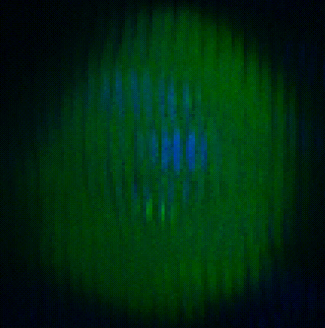 Ac5-DBD-Hb-GFP