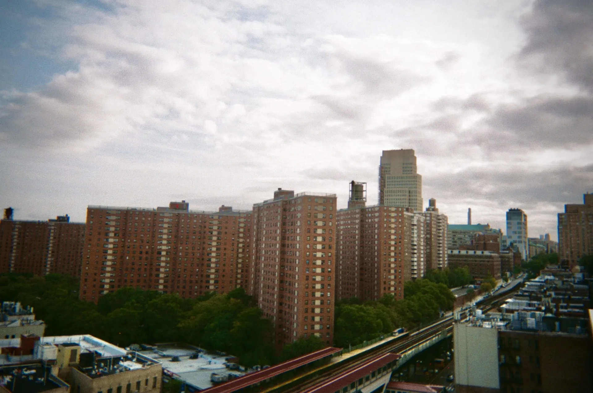 Terrace Via Maggie Film.jpg