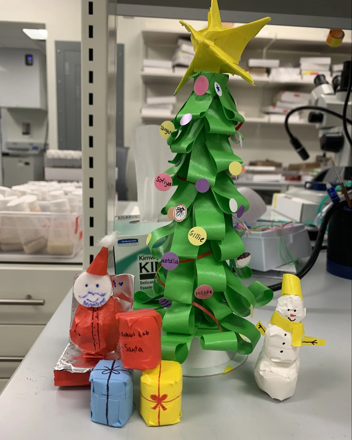 Kohwi Lab Christmas Tree.jpeg